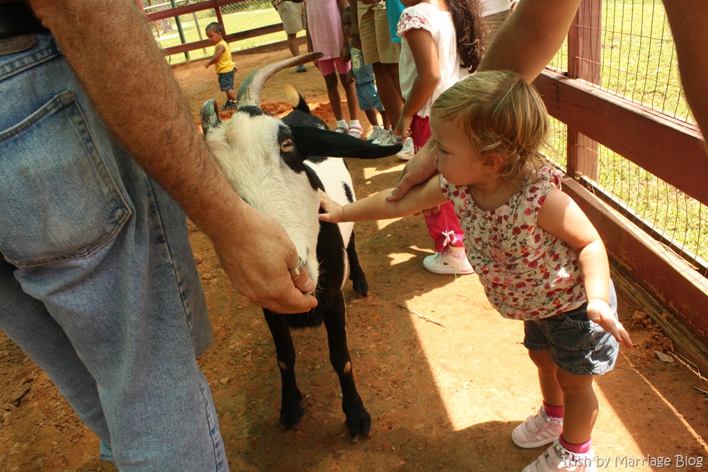 [IMG_5129%255B4%255D.jpg]