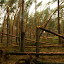 wloszowa-przedborz9_20070814_1991324668.jpg