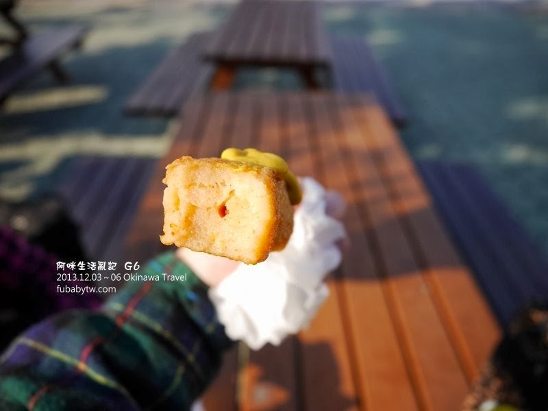 調整大小P1010726 調整大小P1010726