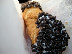 Canoli at Modern Pastry, photo by Jordana Z.