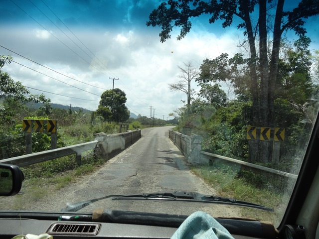 DSC03525 DSC03525