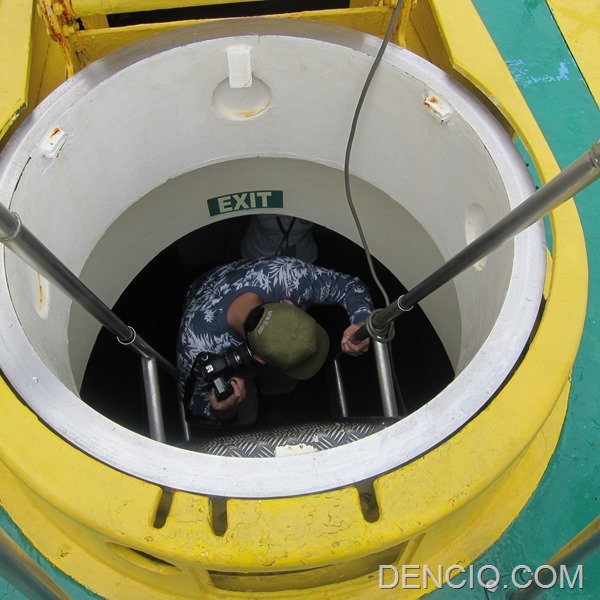 Cebu Yellow Submarine 19