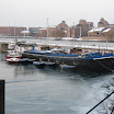 IMG_3594.JPG