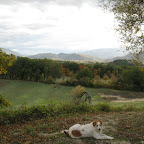 IMG_2170.jpg