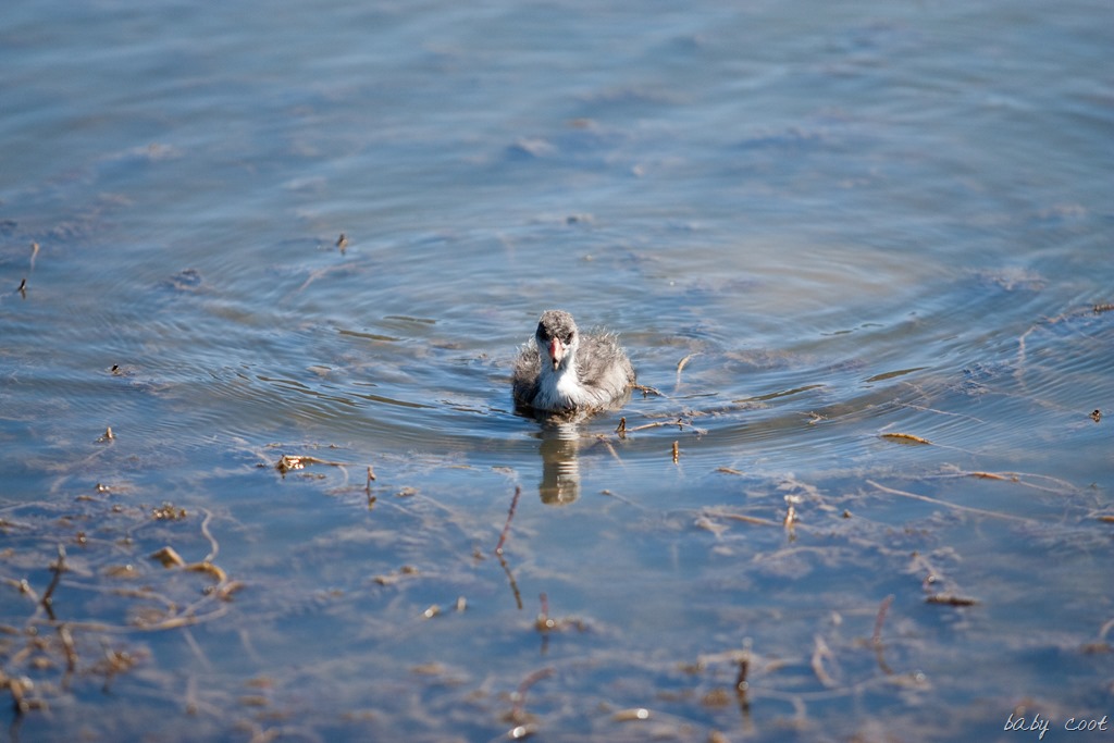 [20130625-IMG_242010.jpg]