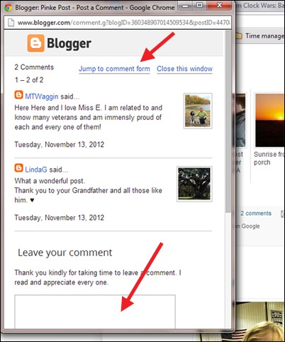 Pinke Post comment window Pinke Post comment window