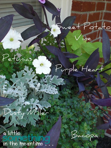 Window Box Flower Labels