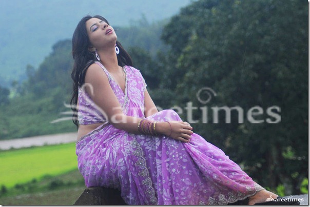 Nisha_Shah_Saree