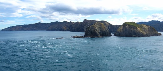 [north%2520island%2520roadtrip%2520019a.jpg]