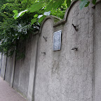 IMG_3495.JPG