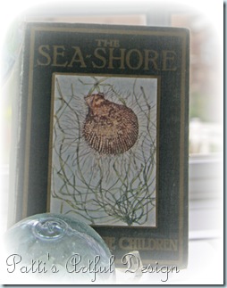 seashorebook
