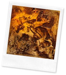 Untitled-Texture