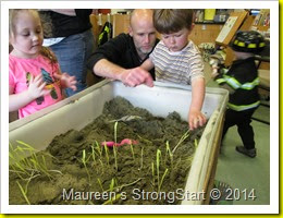 IMG_1804 IMG_1804