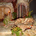 1483-3.JPG