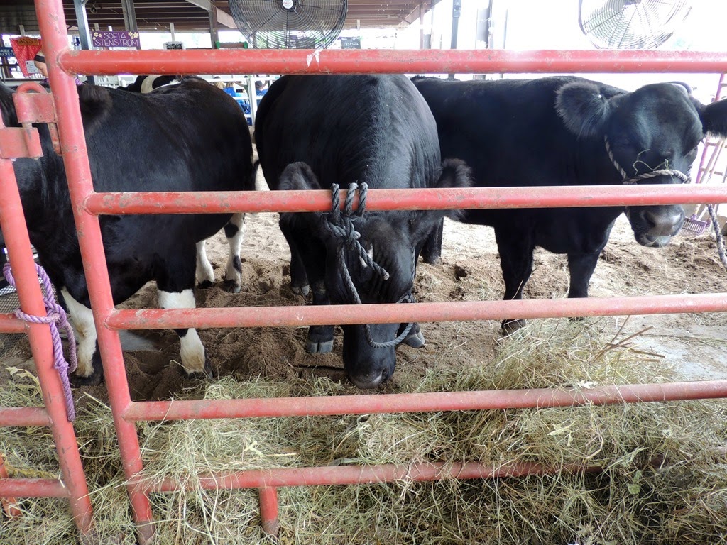 [DSCN9807%255B3%255D.jpg]