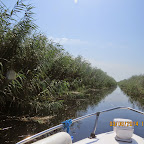 IMG_5720.JPG