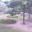 Pharmacy Garden of UCER