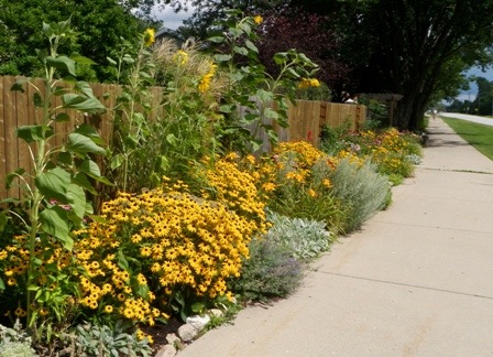 [Community-Garden-Late-Summer-20095.jpg]