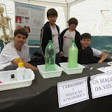 IMG_3726.JPG