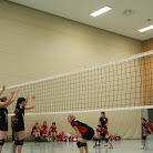IMG_2879.JPG