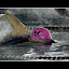 090510 16ème Grand Prix des Maîtres 095 NBv1.jpg