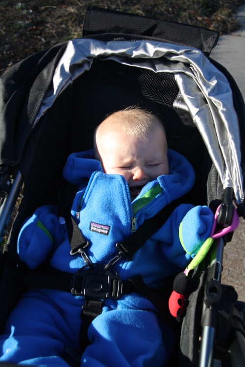 IMG_4201.jpg IMG 4201