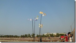IMG_1142 IMG_1142