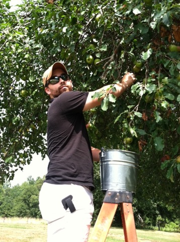 [applepicking1%255B3%255D.jpg]