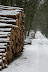 Winterhike: Fotos & Videos IMG 0733 Winterhike: Fotos & Videos