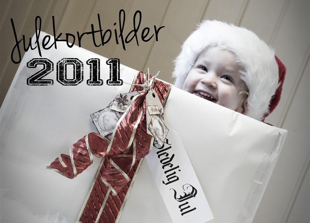 [julekortbilder-20115.jpg]