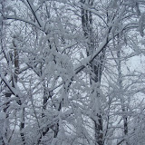 Blizzard TwentyTen - DSC08571.JPG