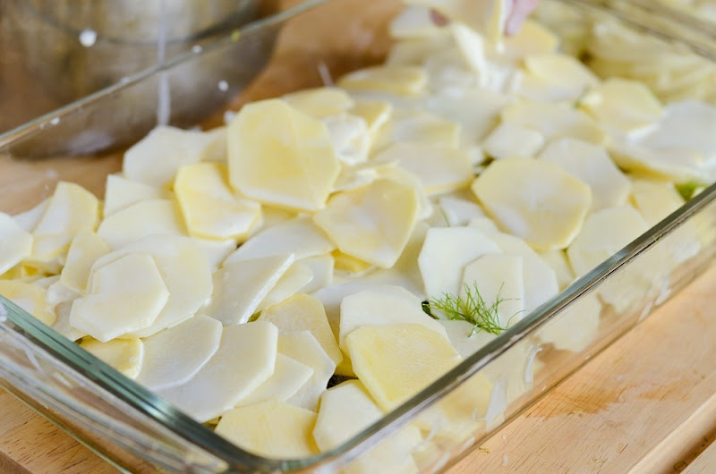 fennel scalloped potatoes-13248 fennel scalloped potatoes-13248