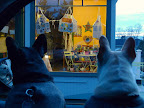 Oh Sharkey, before we know it, these streets will be hopping with the summer visitors and all of our favorite shops will be open for business once again.