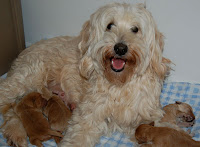 Proud Mama Matessa