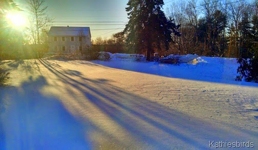 1. morning sun 2-6-15-kab cell pic 1. morning sun 2-6-15-kab cell pic