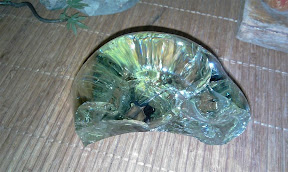 IMAG0067.jpg