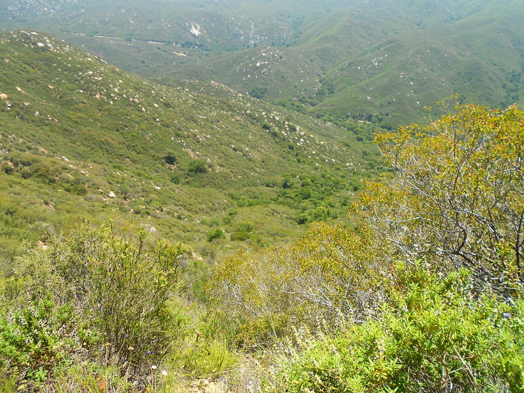 [DSCN4664.jpg]