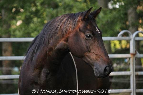 [IMG_3669%255B2%255D.jpg]