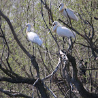 IMG_0902.JPG