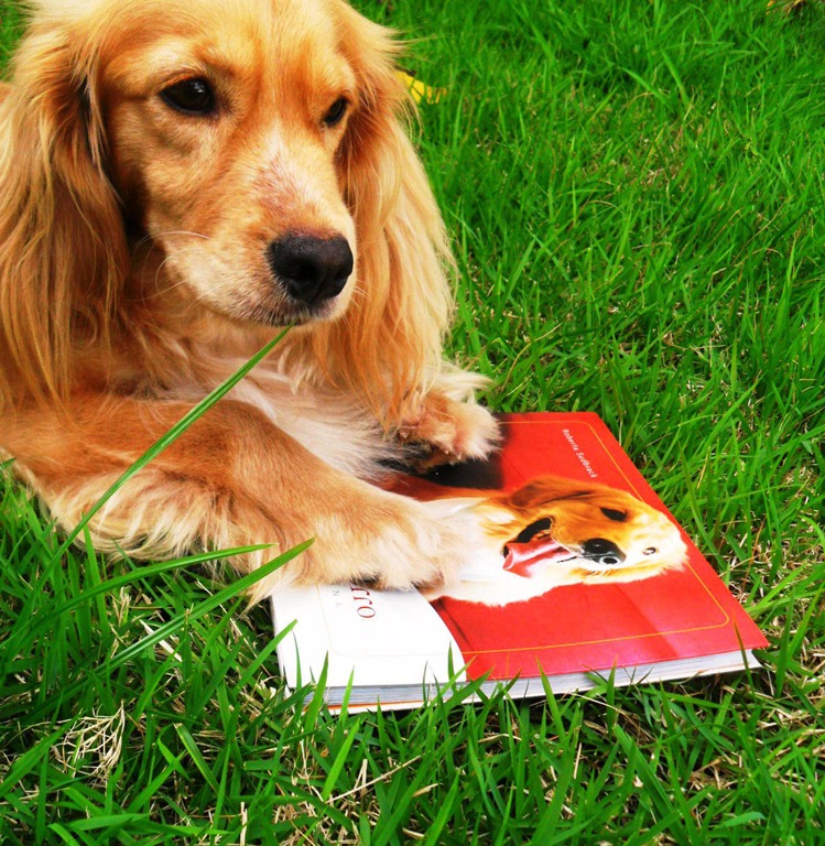 [charly%255B7%255D.jpg]