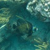 IMG_1569.JPG