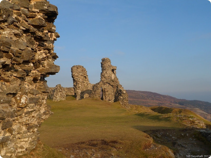 SAM_0042 Dinas Bran SAM_0042 Dinas Bran