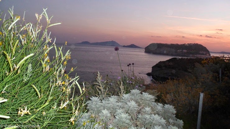 SAM_2619 SAM_2619