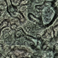 seamless backgrounds Microbiology27 seamless backgrounds Microbiology27