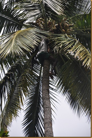 09.2011 Sierra Leone 2011-09-17 008