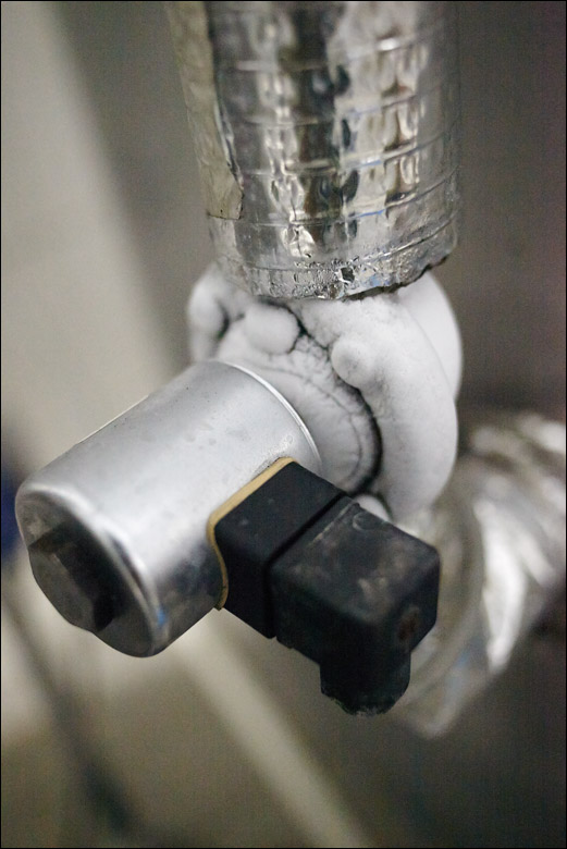 IMG_8325.jpg