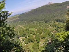 Djouce_Mountain, near Powerscourt Waterfall