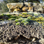 DSC00636.JPG