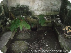 inside the holy well