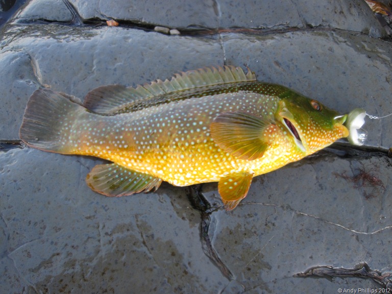 [IMG_1243%255B2%255D.jpg]